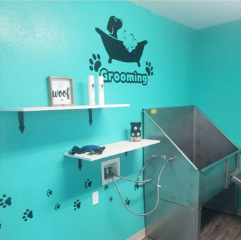 Pet washing station